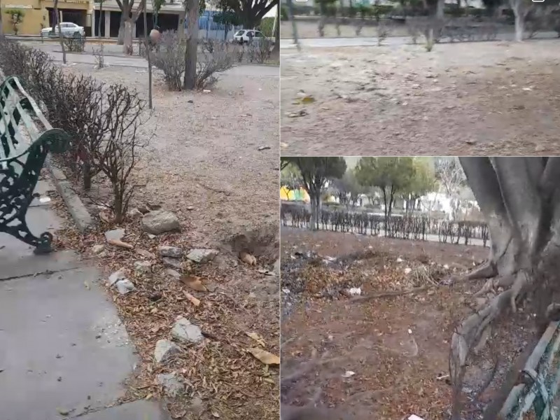 Señalan abandono y sequía del parque de la Arcadia