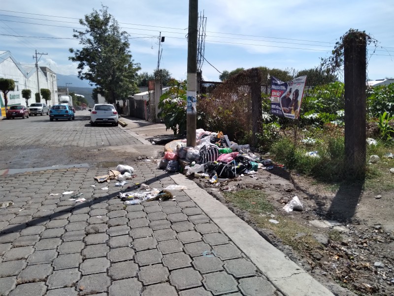 Señalan falta de recolección de basura en distintas colonias