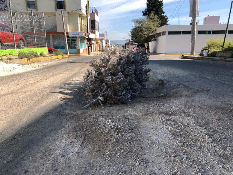 Señalizan zanja con pino en calle Fresno