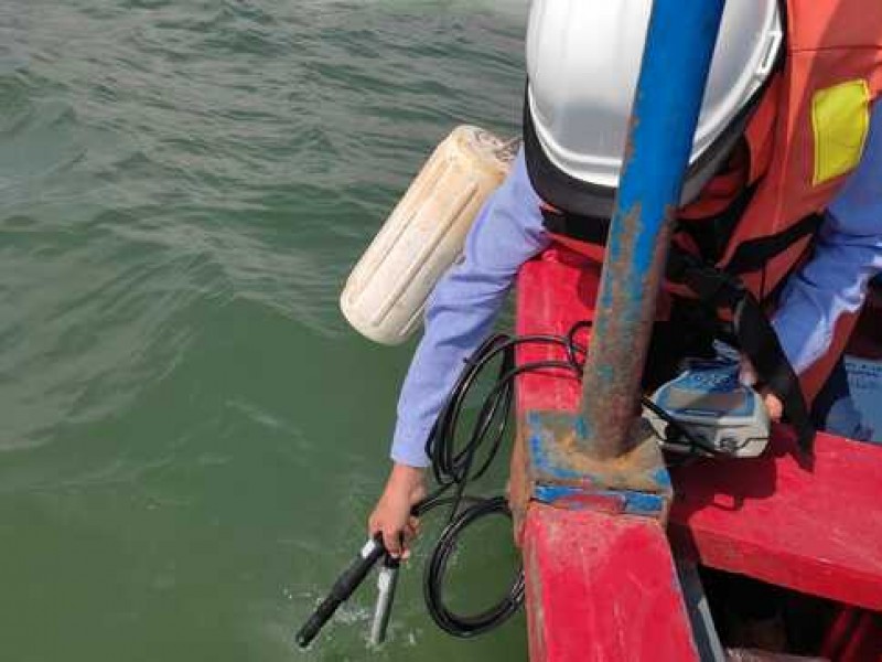 Senasica monitorea playas y moluscos de Zihuatanejo, buscan bacteria comecarne