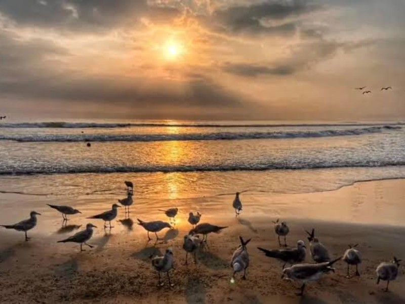 Sensación térmica supera 40 °C en Veracruz este viernes
