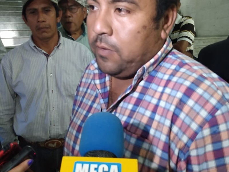 Sequía acaba con cultivos y ganado en Veracruz