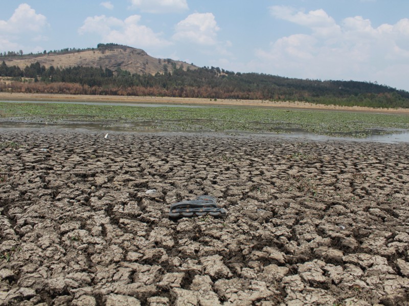 Sequía afecta drásticamente a la Laguna de Parque Sierra Morelos