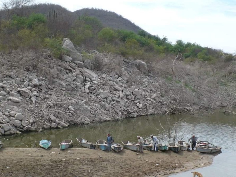 Sequía afecta producción pesquera en presas