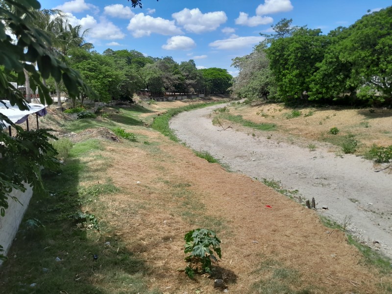 Sequía afecta a pozos de agua en Tehuantepec