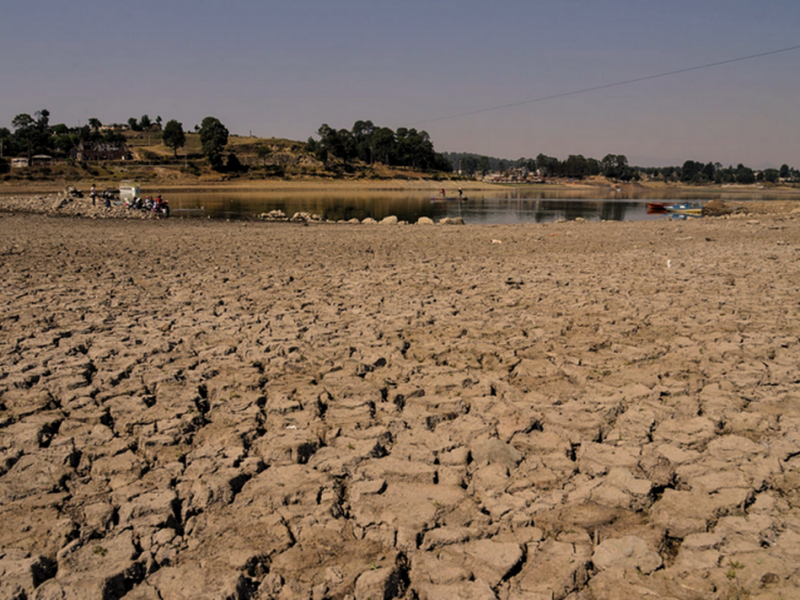 Sequía arriesga el futuro agrícola de Coahuila y Durango