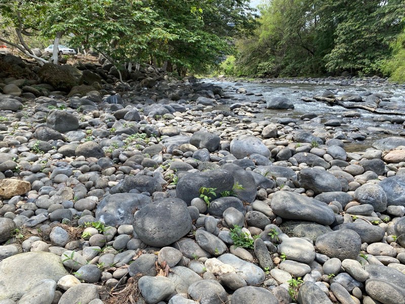 Sequía avanza en el sur de Veracruz rumbo al estiaje