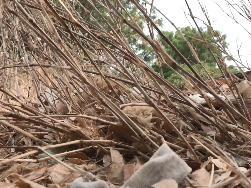 Sequía en el sistema de agua potable de Tehuantepec