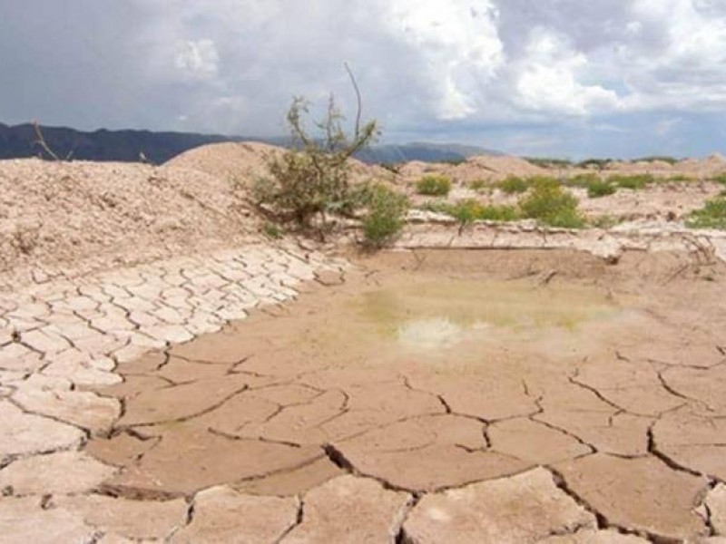 Sequía en León causa estragos en cultivos