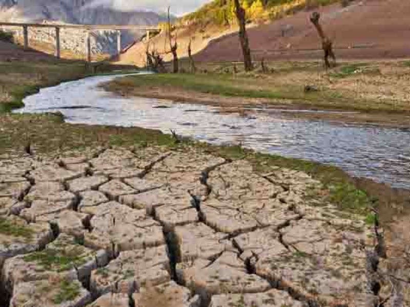 Sequía golpeará sector agrícola en Chiapas