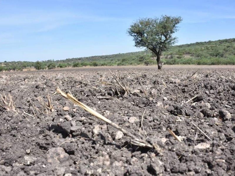 Sequía llega a 90 municipios de Chiapas