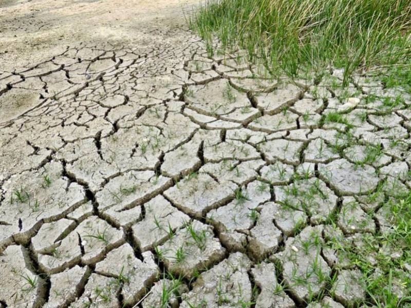 Sequía llega a 90 municipios de Chiapas