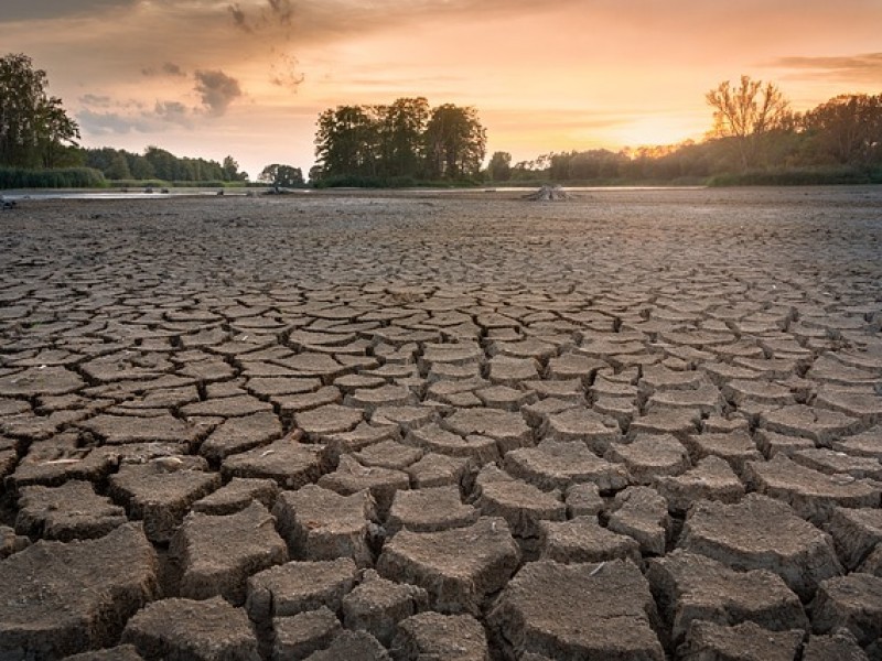 Sequía pone en jaque modelo de la agricultura en Francia