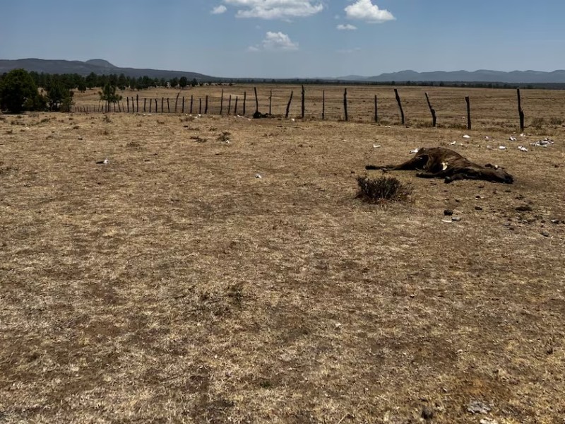 Sequía se agrava en Durango; bordos casi vacíos y lluvias sin iniciar
