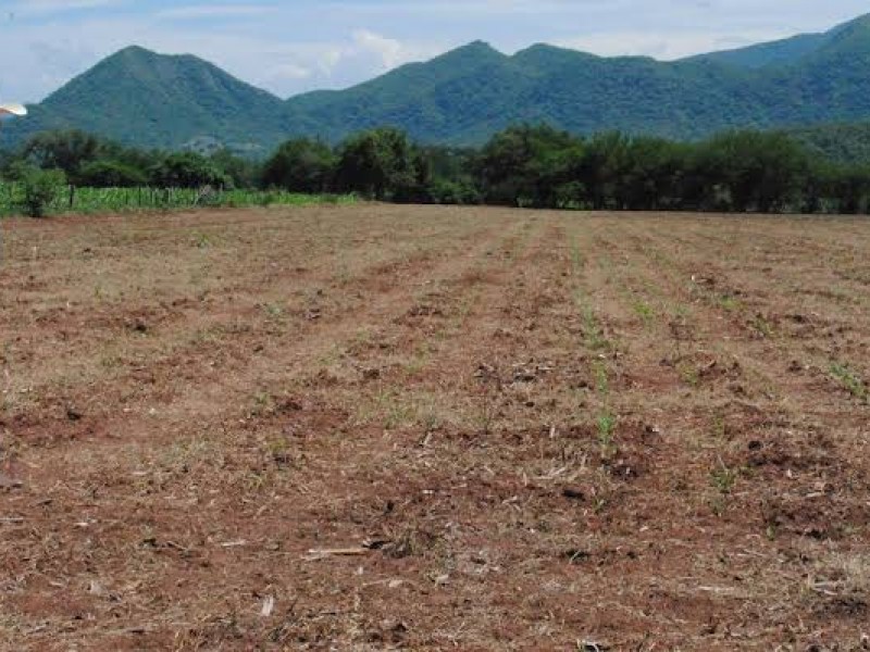 Sequía se agudiza en Veracruz