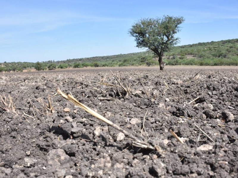 Sequía sigue afectando a comunidades serranas