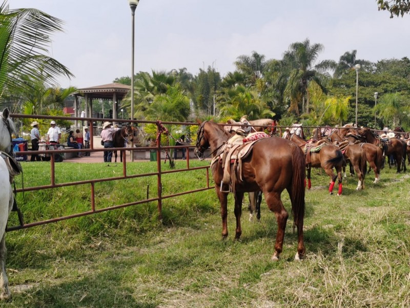 Sequia también impacta a equinos en Veracruz