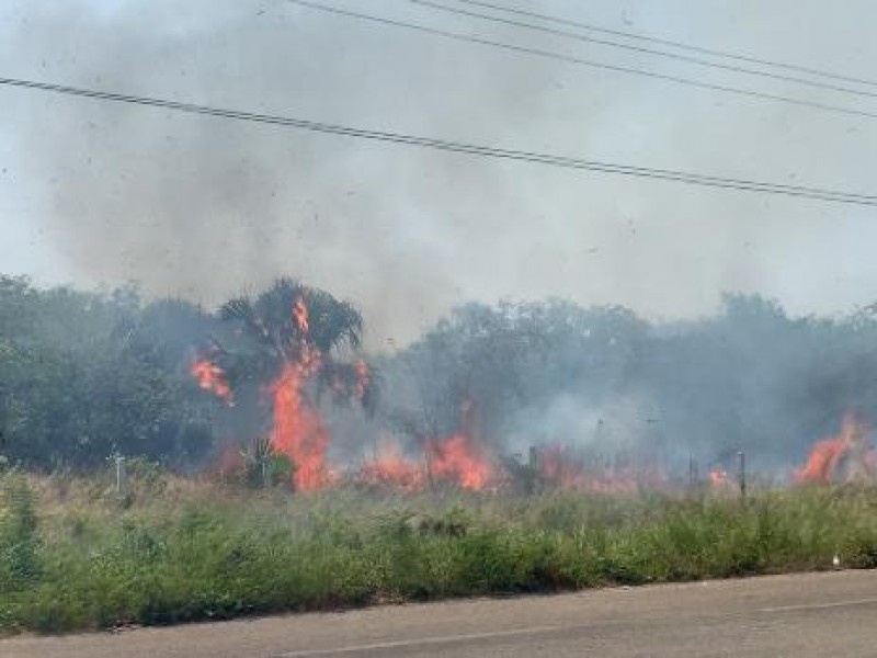 Sequía y calor pudiera provocar incendios forestales en Sinaloa