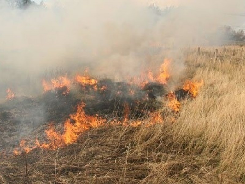Sequía y factor humano favorecen al desarrollo de incendios