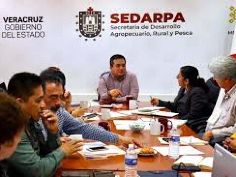 Sequías dejan pérdidas millonarias en Veracruz