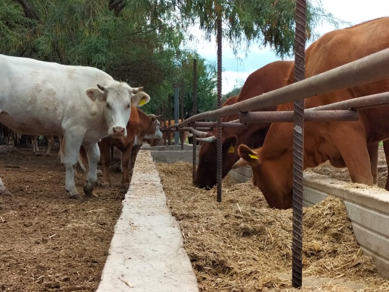 Sequías e inundaciones: enemigos para el campo