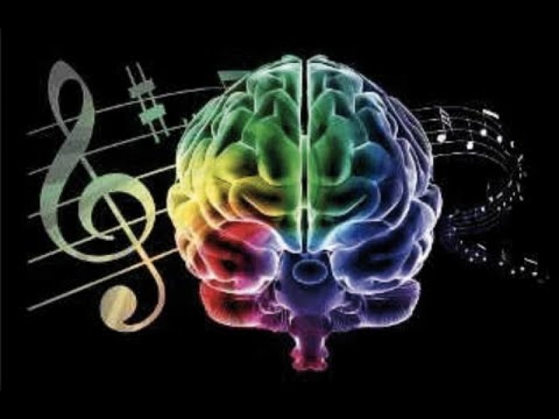 Ser humano utiliza varias regiones cerebrales para procesar música