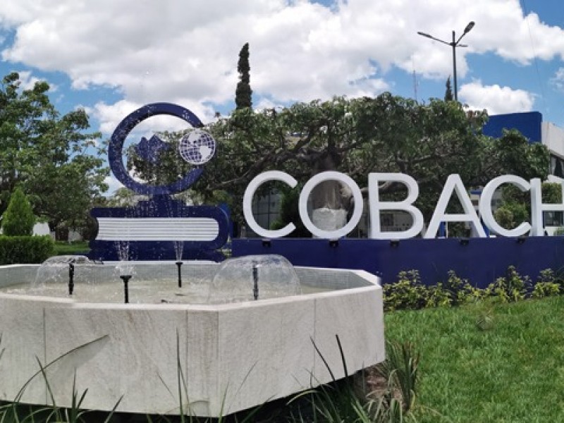 Será en línea el examen de admisión del COBACH