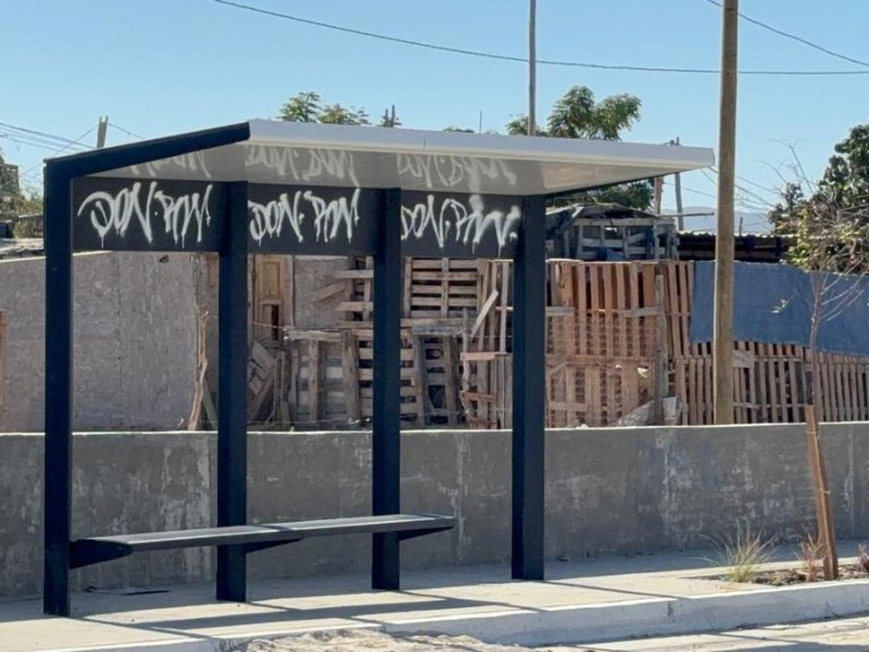 Será para el próximo año la reestructuración de rutas y paraderos