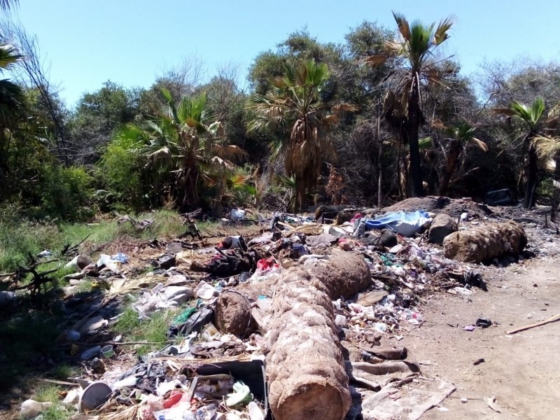 Serio foco de infección por aguas negras