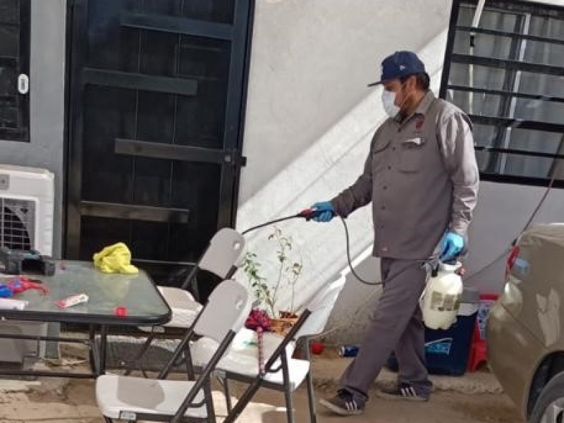 Servicio de fumigaciones permanentes