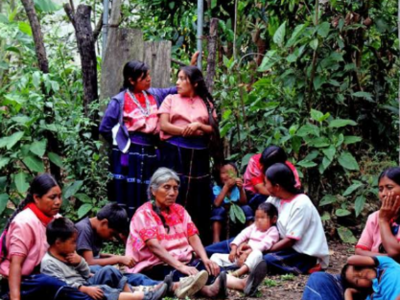 Servicio médico y atención humanitaria, piden desplazados