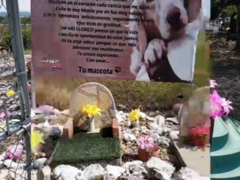 Servicios funerarios para mascotas una realidad costosa