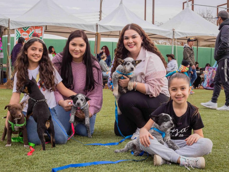 Servicios veterinarios y adopciones en Pet Fest 2024