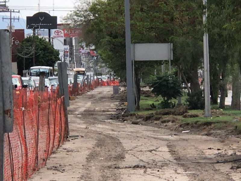 Sesionará Consejo de Medio Ambiente de Torreón por tala en proyecto vial