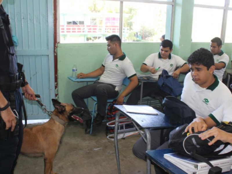 SEV realizará operativo mochila en escuelas de Tuxpan