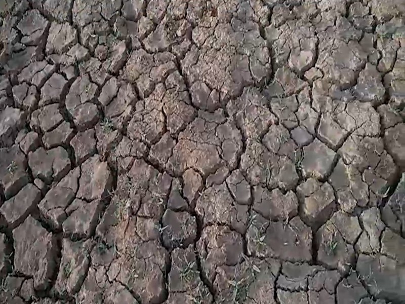 Severa crisis de agua en la frontera