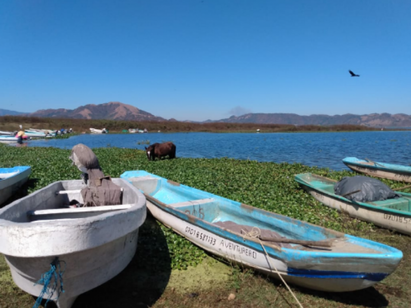 Severa crisis en la pesca por contaminación