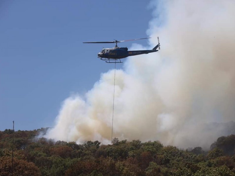 Sí funcionan robots contra incendios en La Primavera