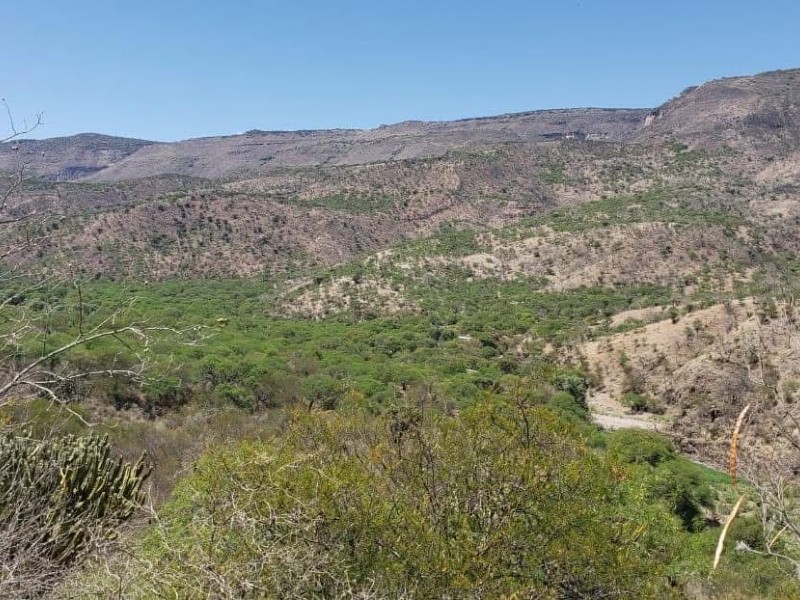 Sí habrá daños por presa Milpillas, pero se aplicará remediación ambiental