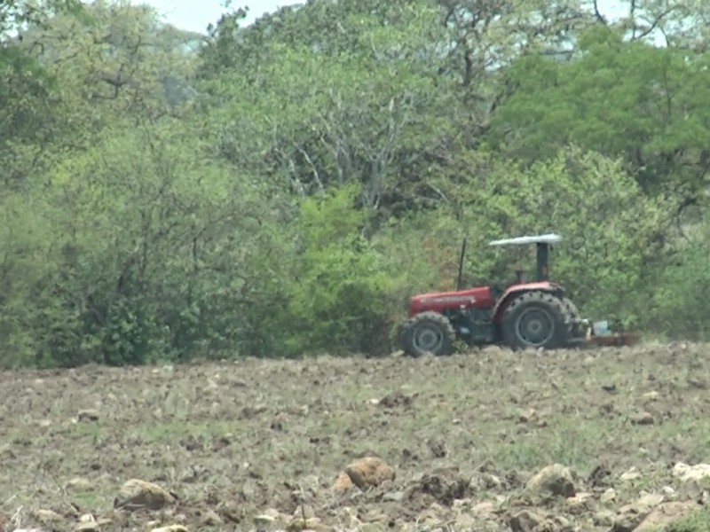 Sí hay interés en apoyar el campo