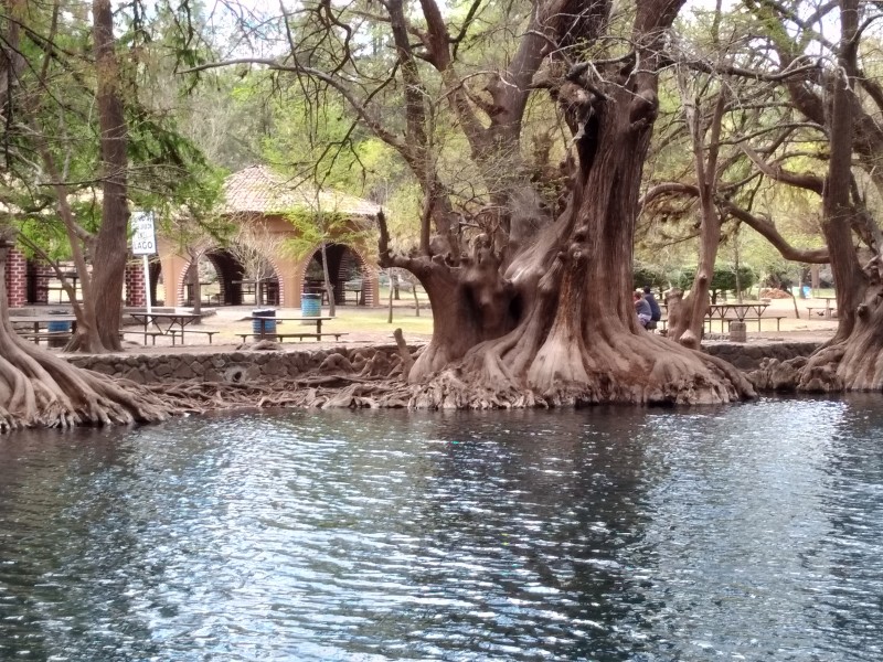 Si vienes a Michoacán, el lago de Camécuaro debes visitar
