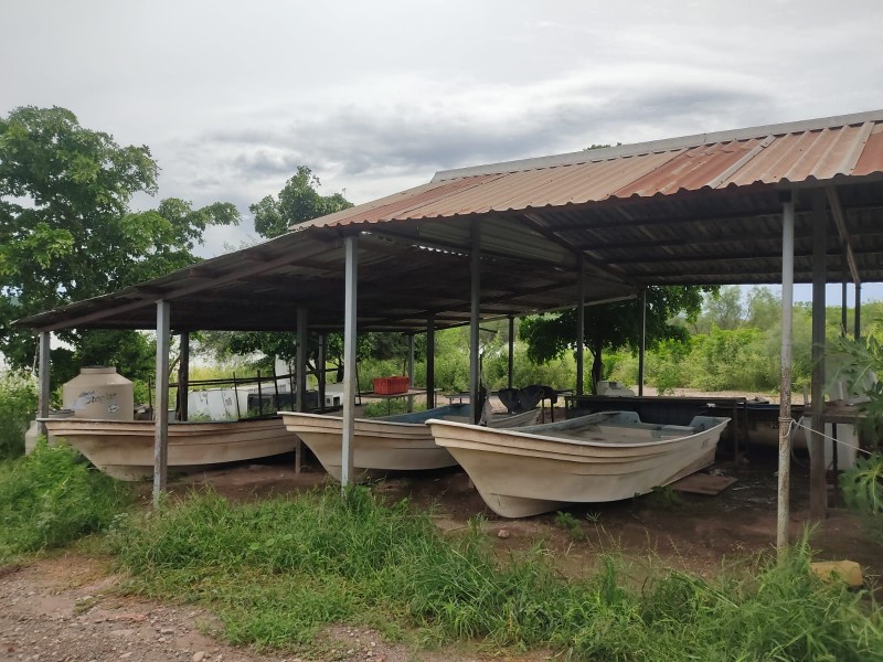 Siembra de 2 millones de alevines mantienen optimismo en pescadores