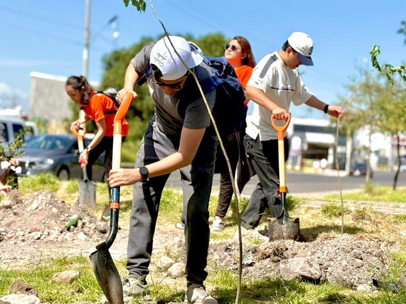 Siembra municipio mil árboles para “Reverdecer Querétaro”