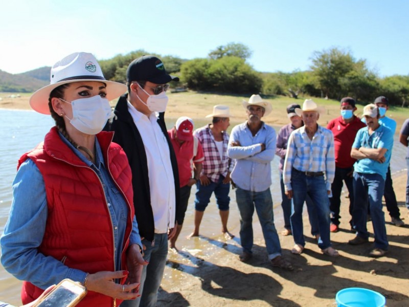 Siembran 1 millón de alevines en la Picachos