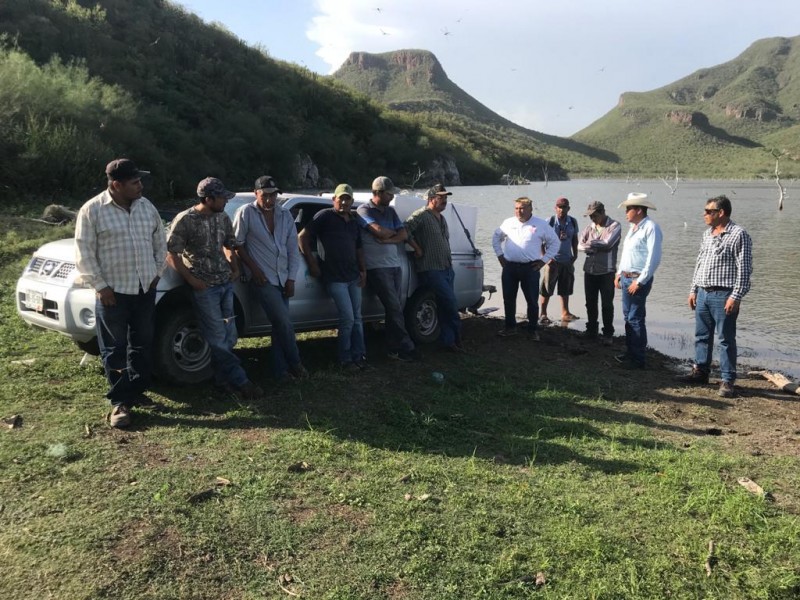 Siembran alevines de tilapia en presas de Álamos