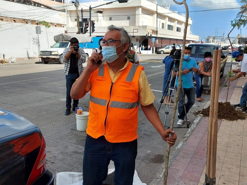 Siembran árboles en el centro de Veracruz