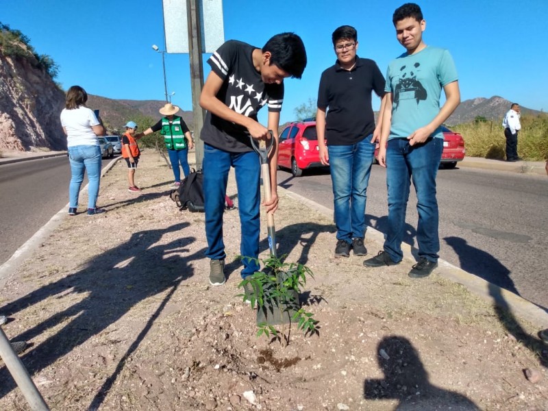 Siembran vida en día mundial de víctimas