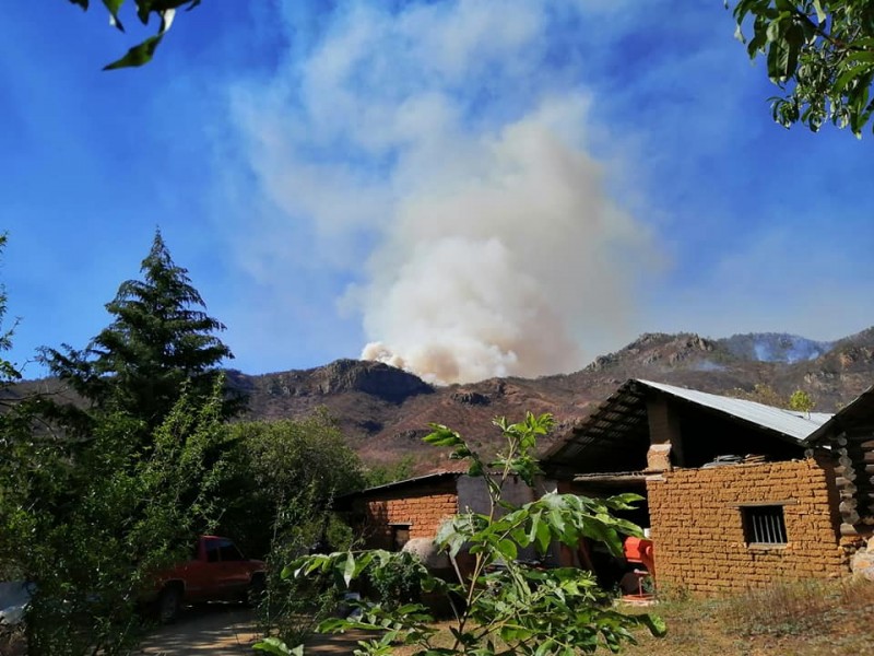 ¡Sierra de Álamos en llamas! Mil hectáreas afectadas por incendio