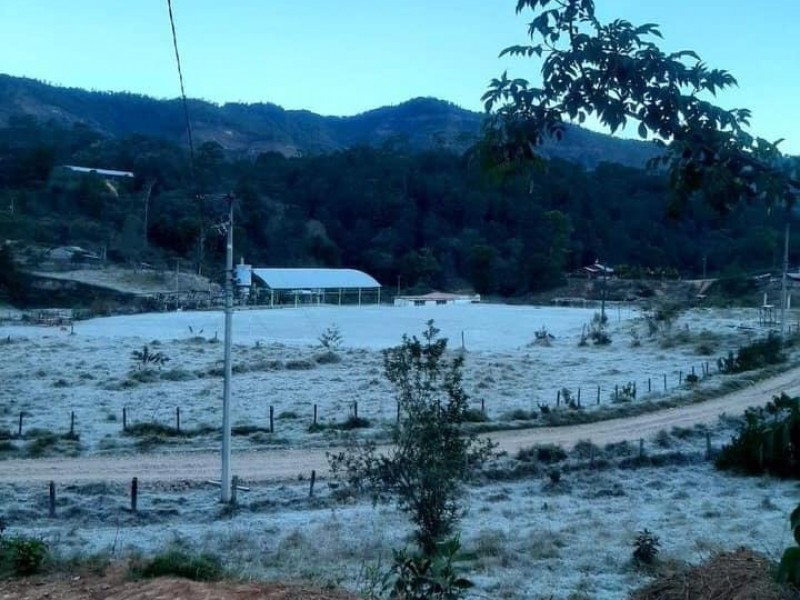 Sierra de Atoyac y Técpan amanecen con hielo