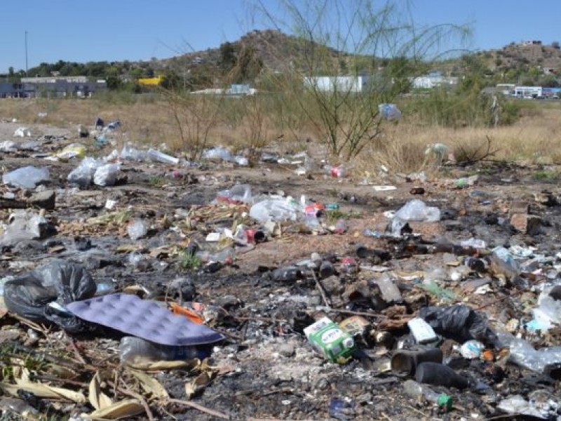 Siete basureros clandestinos en Hermosillo tiene ubicados Ecología